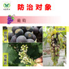 冠龙福万佳 肟菌•戊唑醇  防治炭疽、白腐、白粉早疫病等 商品缩略图1
