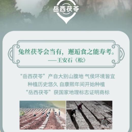 王老吉茯苓草本植物饮料310ml/罐 商品图2