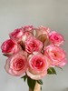 国产单头玫瑰花艾莎玫瑰10支 商品缩略图0