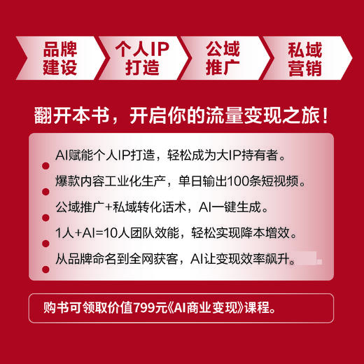 AI引爆流量变现IP打造与商业变现实战 实用工具教学课程公域私域引流转化市场营销企业打造管理新媒体营销文案书籍 商品图1