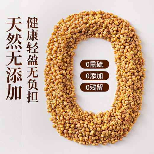 草木方 苦荞茶500g/桶 草木之间有良方 商品图8