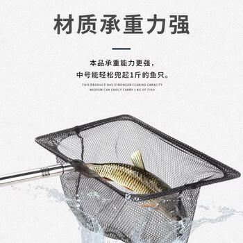 鱼多趣 不锈钢鱼捞中号 可伸缩渔捞鱼网手抄网家用小鱼捞网钓鱼专用渔网 商品图3