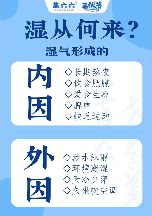 冬寎夏治❗长春中医药大学×龍六六强强联合！【龍六六无湿轻 · 三伏祛湿黄金期】💦10分钟即时体感→打通身体微循环 ✅国家发明专利→115倍高速吸收 ✅独创双参配方，双效祛湿🚫告别湿重虚胖｜ 商品图10