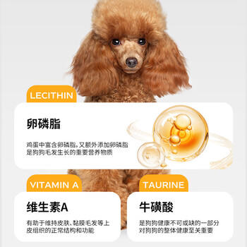 台派狗干粮成犬泰迪金毛比熊小中大型全犬种通用型狗粮5kg 商品图4