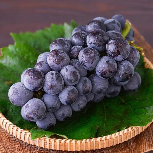 峰后葡萄/份 商品图0