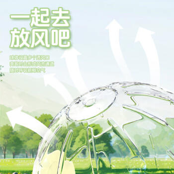 宠尚天 仓鼠跑球运动玩具外带出门金丝熊滚轮跑球水晶球跑球15cm 商品图5