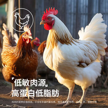 台派狗干粮成犬泰迪金毛比熊小中大型全犬种通用型狗粮5kg 商品图7