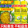 果得刚大瓶装瓜果实蝇诱粘剂针蜂克星灭果蝇实蝇神器引诱剂杀虫剂 商品缩略图3