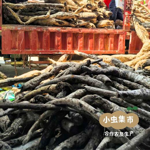 山野采集葛根粉 500g/罐 | 合作农友生产，产自湖北荆门，生产者：阳春府 ＆【公平贸易农人定价】 商品图14