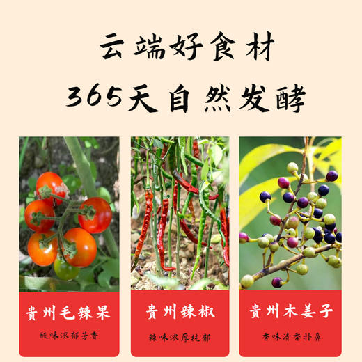 贵州凯里红酸汤 古法发酵 酸辣鲜香 美味百搭秒变大厨 商品图3