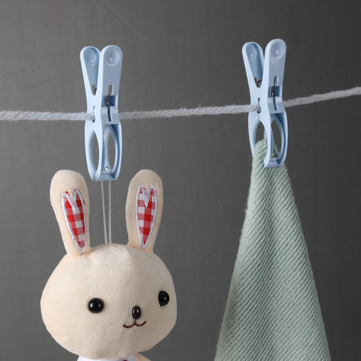 【批发】美丽雅6支弹簧晒夹 商品图4