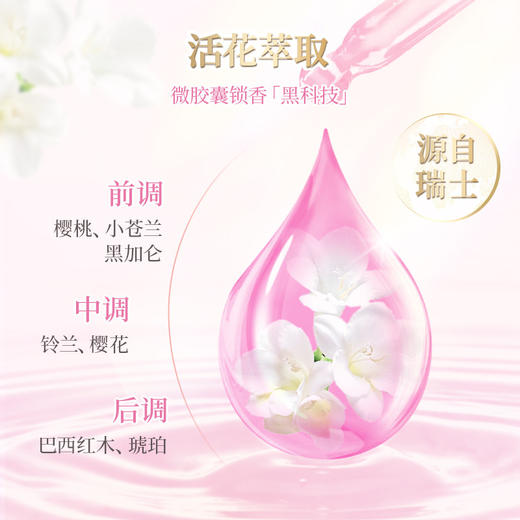 清仓拍1发3袋【三效合一露丝香氛浓缩便携式洗衣凝珠】瑞士胶囊技术 8效浓缩 持久留香温和不刺激 日常洗衣 一颗搞定 大颗装  一颗一筒衣服 便携装  8g/颗 商品图2