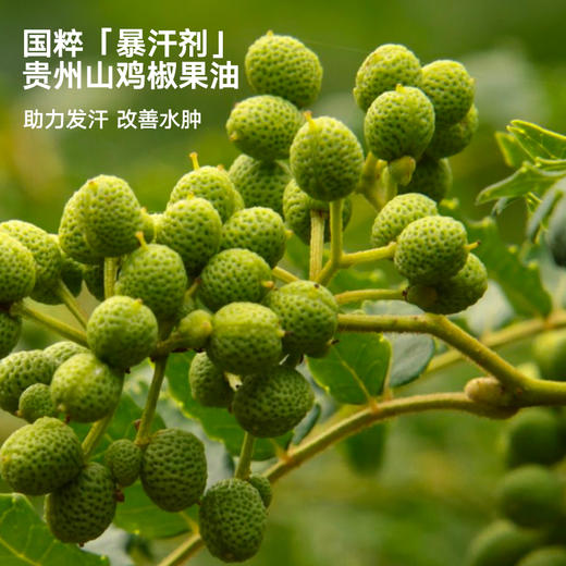 REVER乐若 橙椒轻盈泡脚包 泡脚球足浴包泡脚养足滑肤 商品图2