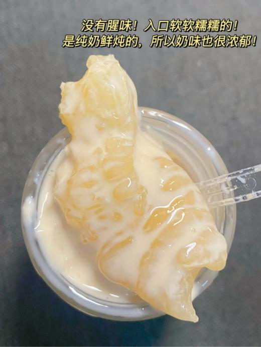 & 即食燕窝牛乳花胶🍶开盖即食，QQ弹弹，养生滋补，越吃越漂亮✅ 商品图1