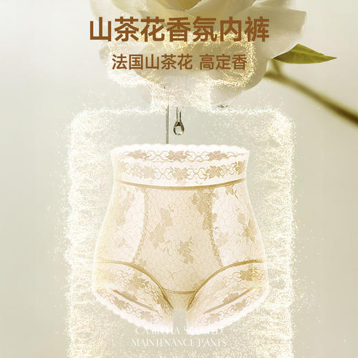 【超值5条装】美宅 山茶花香氛塑型蕾丝内裤 柔软凉快 越洗越香 商品图1
