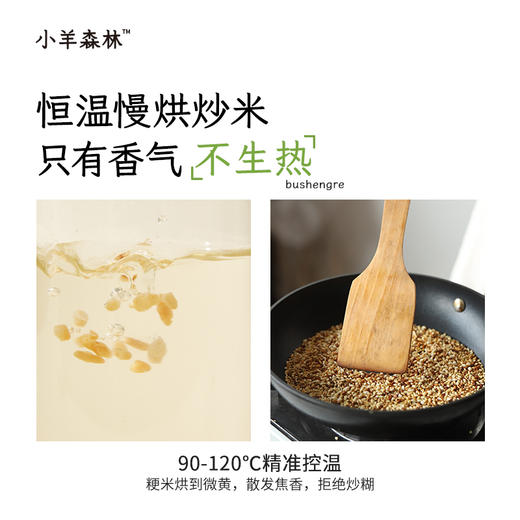 「炒米茶」谷香炒米水  脾w爱喝 每天1袋吃饭香 商品图2