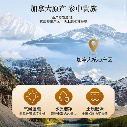 雷允上加拿大西洋参片30g/瓶（1.2-1.4cm）*2瓶装 商品图6