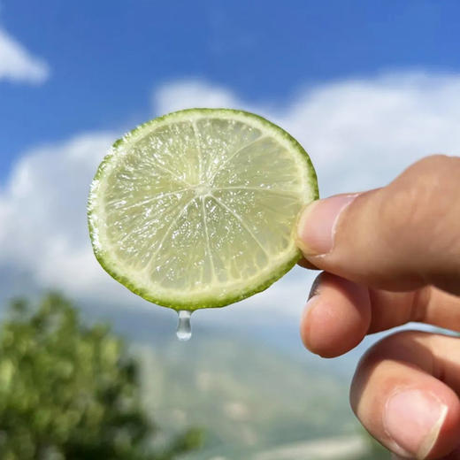 有机无籽香水柠檬 商品图10