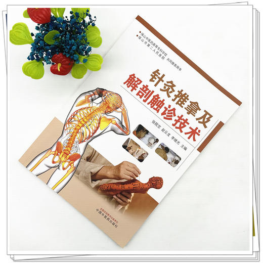 针灸推拿及解剖触诊技术（彩图版）张院宝 赵云龙 李继光 主编 中国中医药出版社 商品图1