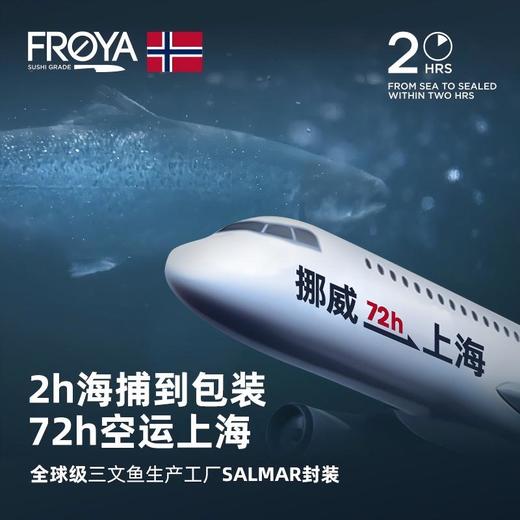 FROYA弗罗亚挪威原装进口空运三文鱼礼盒 商品图13