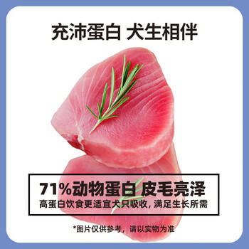 伯纳天纯狗粮经典 泰迪贵宾成犬幼犬通用犬粮1.5kg/3斤 商品图3