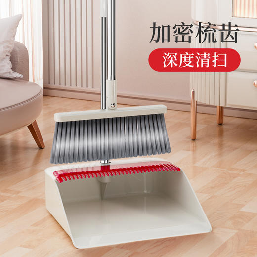 好媳妇扫把簸箕新款家用扫地组合扫帚垃圾铲 商品图0