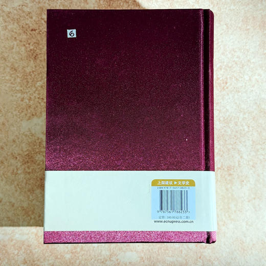 中国文学史料学 上下卷 潘树广 通论性文学史料学著作 商品图2