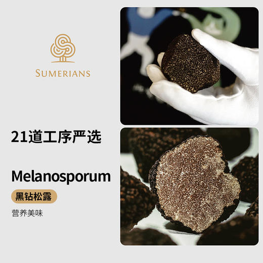 云南曾味黑松露粉50g 咸蛋黄芝士山椒松露薯条粉状调味粉无添加  50g/瓶 商品图1