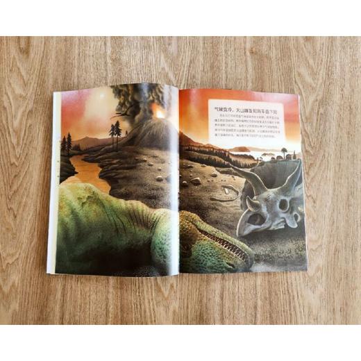 阿拉丁少年儿童百科：恐龙王国（全4册） 商品图3