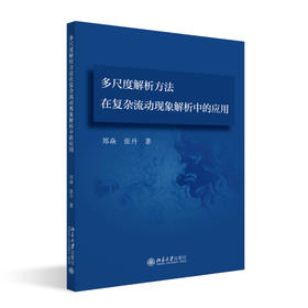 多尺度解析方法在复杂流动现象解析中的应用 郑焱 张丹 著 北京大学出版社