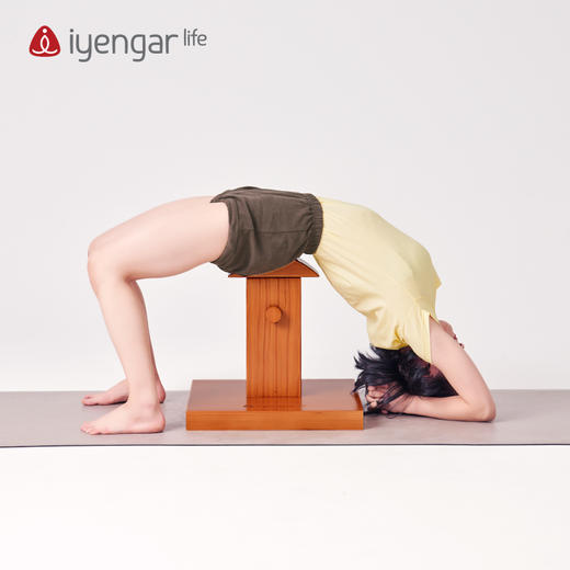 艾扬格 Life 后弯柱桩（鸡翅木）  后弯神器 商品图6