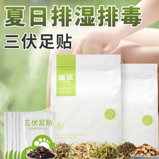 【超值装】‘南阳张仲景中医研究院监制’瑶辰三伏贴/三伏足贴 草本熬制 服帖透气 商品图1