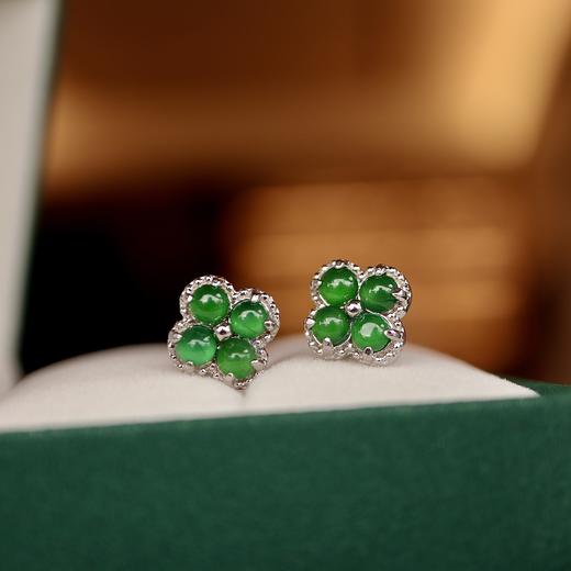 翡翠四叶草耳钉 cf 商品图0