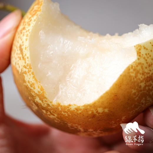 生态桂花梨 | 合作生产*Ecological osmanthus pear|  Partner Production 商品图1