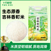 十月稻田 寒露秋香吉林香町米5kg*2 粘弹筋糯 清香回甘 48小时发货 商品缩略图0