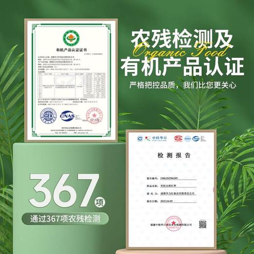 齐力免洗有机红枣 100g/袋 商品图2