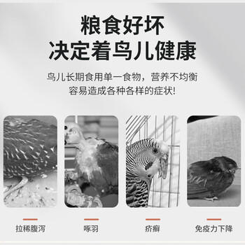 茨格曼鹦鹉饲料1200ml混合鸟粮 五色黍子牡丹虎皮玄凤八哥画芦丁鸡饲料 商品图6