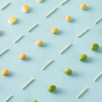 宠幸 升级2mm原味豆腐猫砂2.7kg*4 纯豆腐可冲厕所 除臭低尘猫砂 商品图2