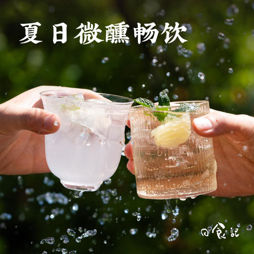日食记 气泡米酒系列730ml*2 海盐荔枝柚子 微醺低度 中式气泡酒 48小时发货 商品图4