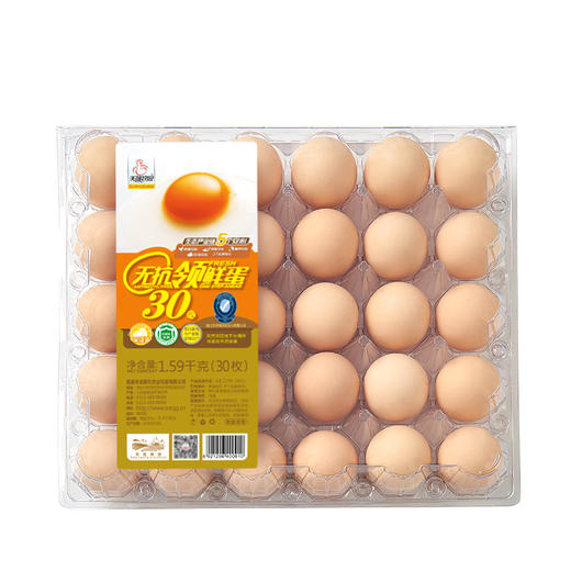 天晟牧园无抗领鲜鸡蛋30枚/盒1.59kg 商品图2