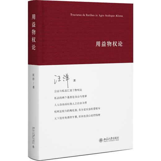 用益物权论 汪洋 著 北京大学出版社 商品图0