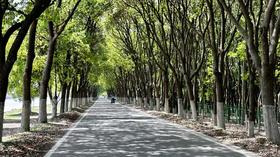 太浦河林荫公路 一日游（青浦-吴江太湖边）