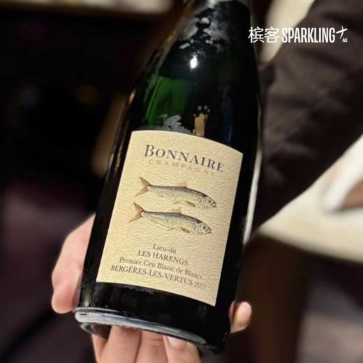 Bonnaire ‘LES HARENGS 2021’ Premier Cru Blanc de Blancs 宝奈儿香槟“子鲱鱼”2021年一级白中白 商品图0