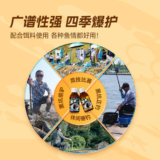 汉鼎发疯饵料添加剂诱鱼剂黑坑专用鲫鲤鱼饵料制作窝料诱食饵钓鱼 商品图2