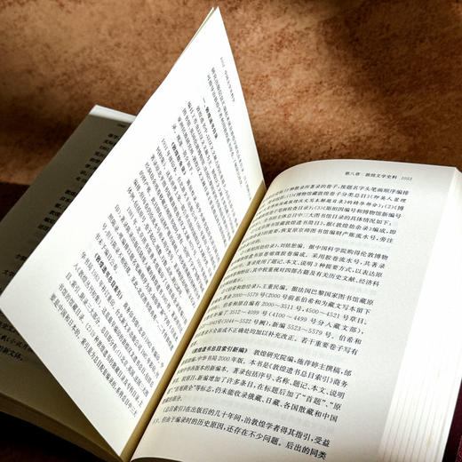 中国文学史料学 上下卷 潘树广 通论性文学史料学著作 商品图13