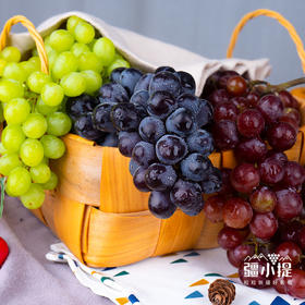 疆小提 新疆 三色葡萄 无核白+玻璃翠+黑美人