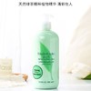 伊丽莎白雅顿 绿茶香型身体乳  500ml 商品缩略图3