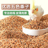 茨格曼鹦鹉饲料1200ml混合鸟粮 五色黍子牡丹虎皮玄凤八哥画芦丁鸡饲料 商品缩略图8