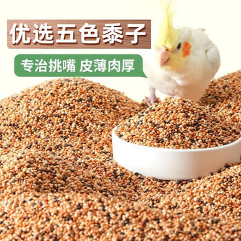 茨格曼鹦鹉饲料1200ml混合鸟粮 五色黍子牡丹虎皮玄凤八哥画芦丁鸡饲料 商品图8