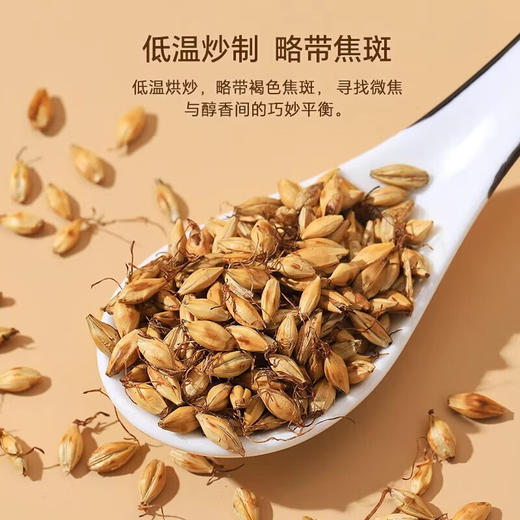 草木方 炒麦芽1000g/桶 草木之间有良方 商品图5